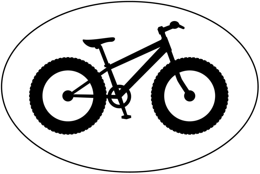 Fat Tire Bike